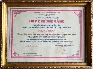 Huy chương vàng sầu riêng cơm vàng hạt lép Ri6 Nguyễn Văn Bình